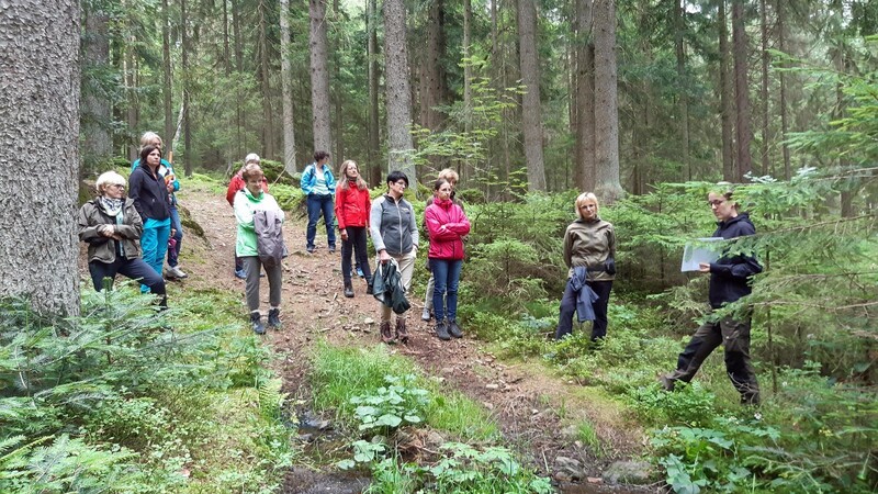 Wie wichtig auch kleine Feuchtflächen für den gesunden Wald sind, erklärte Forstpraktikantin Lea Holzer beim Waldbegang für Frauen.