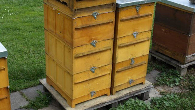 Im Stadtgebiet Regensburg gestohlene "Bienenkörbe"