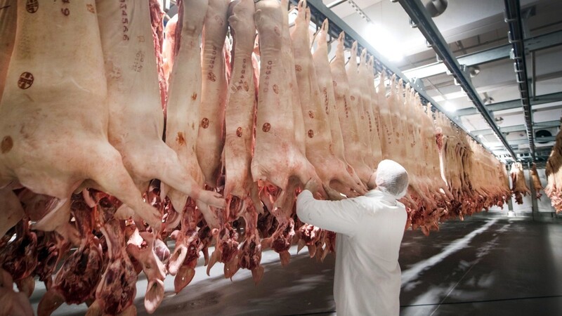 Nach dem ersten Fall der Afrikanischen Schweinepest (ASP) in Deutschland hat China ein Importverbot für deutsches Schweinefleisch verhängt.