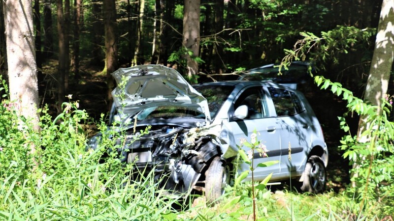 Das Unfallauto blieb in diesem Waldstück liegen.
