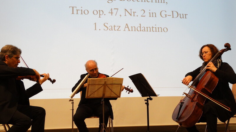 Es spielte das "Trio a3", von links Peter Kessler, Fritz Menzel und Barbara Wolf-Eckmann.