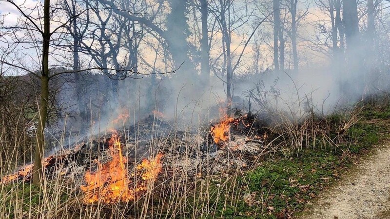Nahe der Maxihöhe in Furth im Wald, im sogenannten Heißerlgarten, brannten rund 100 Quadratmeter Fläche.