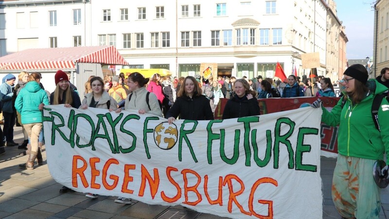 Ein Bild aus Zeiten vor Corona. In der Form wie damals kann die morgige "Fridays for future"-Demo in Regensburg nicht ablaufen. (Archivbild)