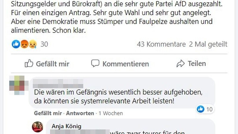 Anlass für Diskussionen innerhalb des Stadtrats: Der Post von Falk Bräcklein samt Kommentaren.