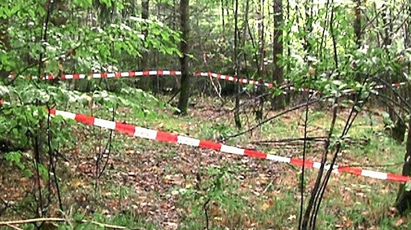 Hier fanden Schwammerlsucher 2013 die Leiche von Maria Baumer.