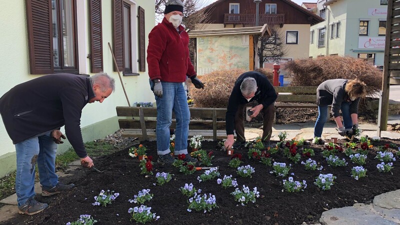 Auch die Beete um das Verkehrsamt bepflanzten die Hobbygärtner mit den Frühlingsblumen.