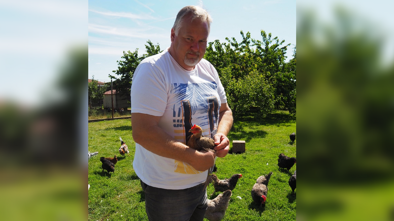 Für Markus Dengler sind seine Hühner und Hähne Familienmitglieder.