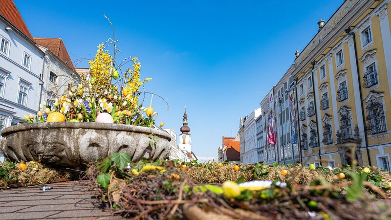 Der Brunnen am Stadtplatz der Partnerstadt Wels ist bereits österlich geschmückt, weitere Frühlingsblüher folgen.