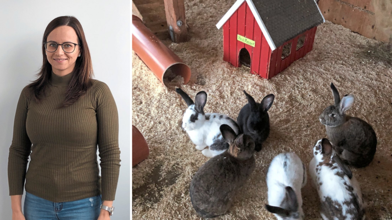 Kaninchen und Ziegen sind Teil der tiergestützten Pädagogik in der Mikina-Fachklinik in Baden-Württemberg. Sabrina hat hier zusa
