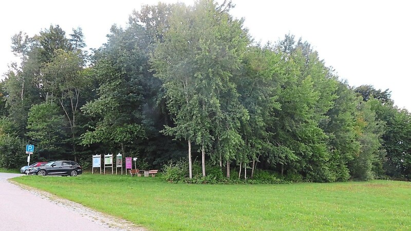 Als Standort für den Waldkindergarten ist ein Platz nahe dem Wanderparkplatz am Keilbügerl vorgesehen.