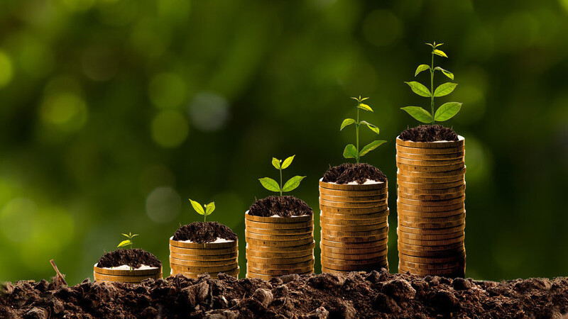 Mit grünen Investments können Anleger gute Renditen erwirtschaften