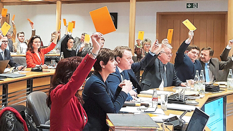 Nicht zum ersten Mal stellten sich die Grünen-Vertreter Sigi Hagl und Stefan Gruber (vorne, Zweite und Dritter von links) gegen die Mehrheit des Stadtrats. Diesmal jedoch stieß ihr Abstimmungsverhalten selbst in den eigenen Reihen auf Unverständnis.