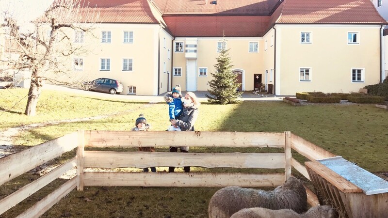 Der Pfarrgarten als Hirtenfeld: Zur Freude der Kinder gab es echte Schafe.