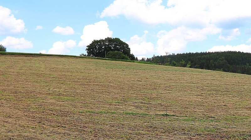 Der Acker, auf dem der Landwirt aus Steinlohe eine Freiflächen-Photovoltaikanlage errichten will, liegt im Landschaftsschutzgebiet.