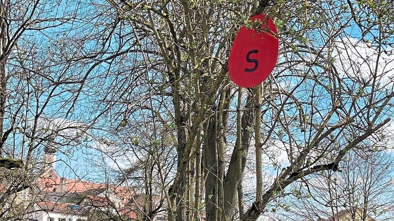 Gut sichtbar hängen rote Holzeier mit Buchstaben für die Chamer Ostereiersuche in den Bäumen. Kinder, die alle neun finden, erhalten ein Lösungswort und ein kleines Geschenk in der Touristinfo.