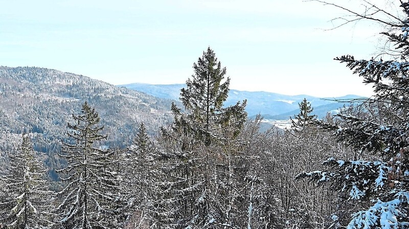 Traumhaftes Winterwetter und herrliche Fernsicht auf den Bergen im Deggendorfer Land.