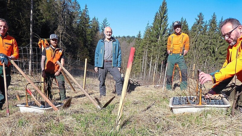 Forstwirtschaftsmeister Paul Hilgart (v.li.), Azubi Michael Wirth, Revierleiter Ulrich Matschke, Azubi Max Ammon und Forstbetriebsleiter Jürgen Völkl.