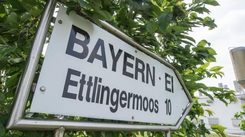 Gegen die Firma Bayern-Ei wird ermittelt. Foto: Armin Weigel/Archiv
