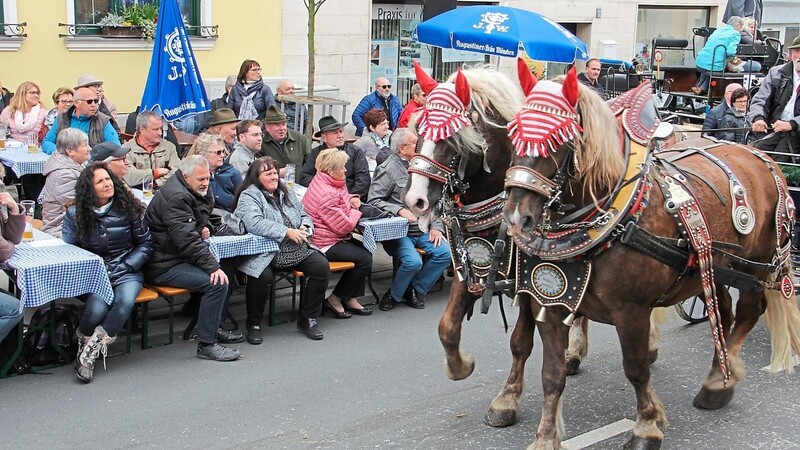 Nun wird es doch ein Rosstag "light". Grund ist die Krisensituation. Rosserer und Stadtspitze finden Volksfeststimmung nicht angebracht.