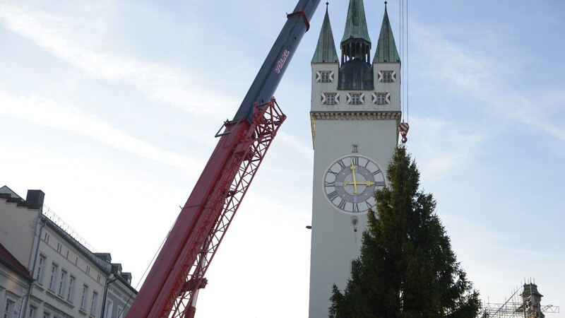 Heuer wird der Christbaum in Straubing am 12. November aufgestellt (Archiv).