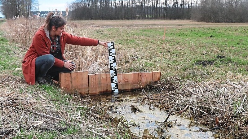 Lucia Gruber misst die aufgestaute Wassertiefe. Sie betreut beim Vöf das Labertalprojekt 2030.