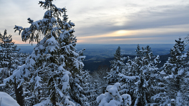Was für ein toller Blick vom 1 048 Meter hohen Klausenstein nach Süden.