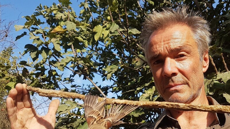 Auf Zypern befreit Hannes Jaenicke einen Singvogel von einer Leimrute.