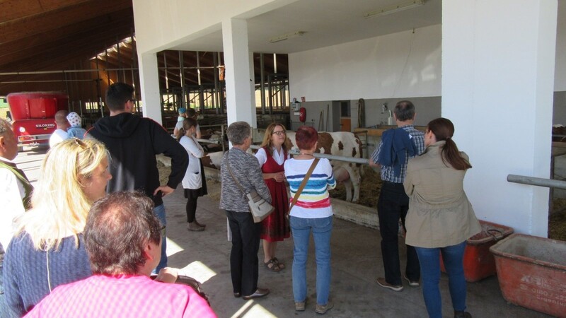 Manuela Thalhammer zeigte den Besuchern im Rahmen der Aktion auch den modernen Stall auf dem Hof der Familie in Oberhausenthal.