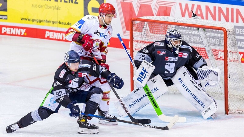 Endlich geht es wieder los! Die Deutsche Eishockeyliga (DEL) startet am Donnerstag in ihre 28. Spielzeit. Zum 16. Mal dabei sein werden auch die Straubing Tigers (schwarze Trikots).