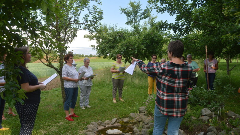 Gute Bedingungen für die Probenarbeit findet der große Chor der Liedertafel einmal wöchentlich auf der Streuobstwiese des Obst- und Gartenbauvereins.