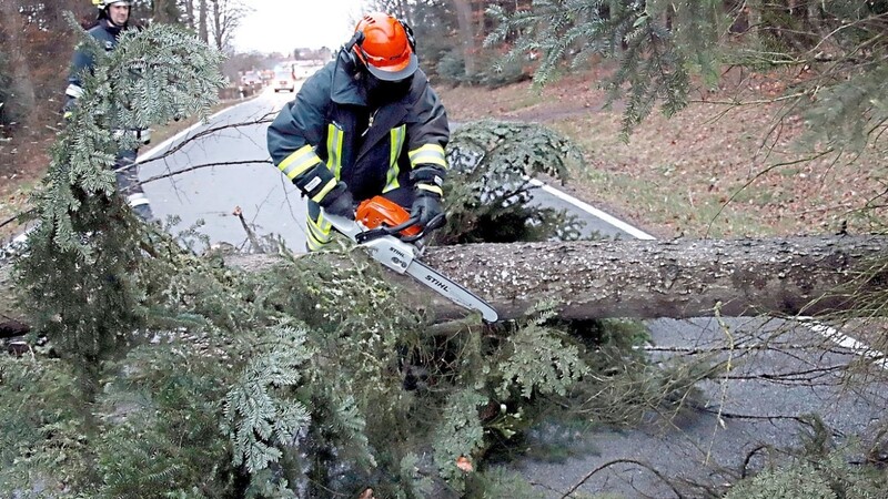 Verschiedene Feuerwehren im Landkreis Deggendorf hatten am Montagvormittag damit zu tun, die Straßen nach umgestürzten Bäumen wieder frei zu bekommen.