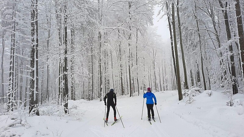 Die Skilangläufer genießen derzeit die hervorragenden Bedingungen in den Loipen.
