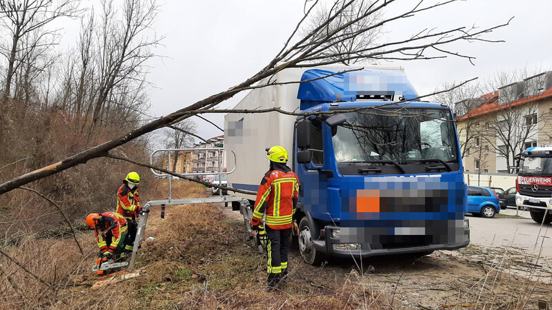 In der Schönfelder Straße fiel am Donnerstagnachmittag ein Baum auf einen parkenden LKW.