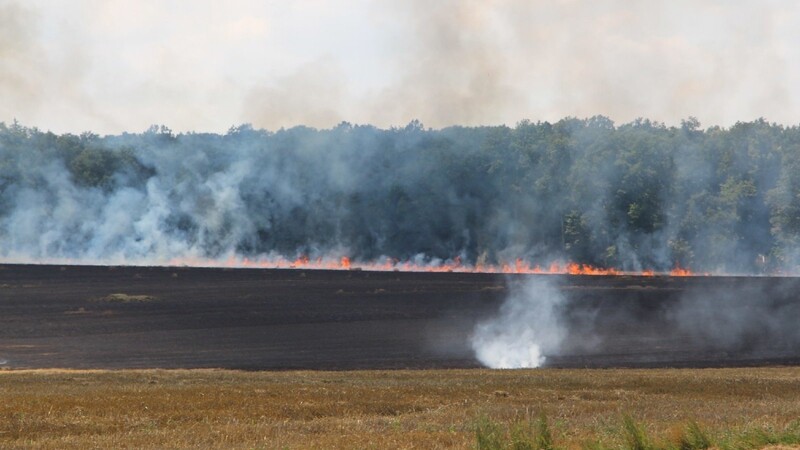 Meterhoch standen die Flammen über dem Feld bei Kelheim.