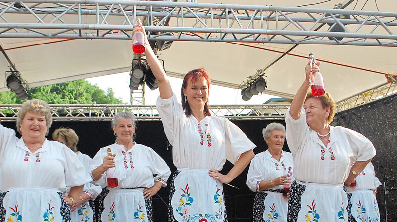 Gäste aus Ungarn sind inzwischen ein fester Bestandteil des Bürgerfestes.