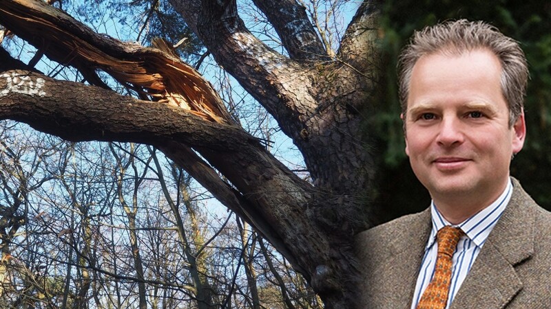Sturm, Käfer, Klima: Von allen Seiten ist der Wald bedroht - und das bringt auch die Waldbesitzer in Bedrängnis, sagt Hans Ludwig Körner, der Vorsitzende des Waldbesitzerverbands in Bayern.