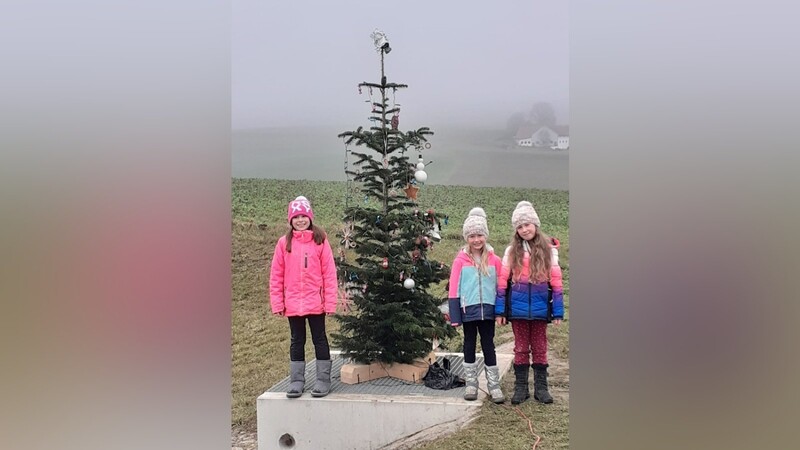 Die Kinder der Siedlung, wie Elena Ganslmeier, Lea und Julia Müller (v.l.), kommen jeden Tag zum Baum und schauen, wie er sich verändert.