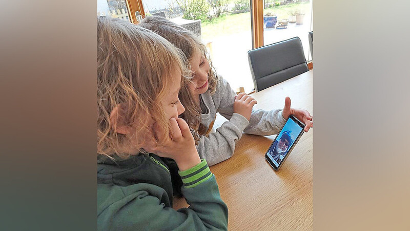 Kontakt halten ist während der Kontaktsperre auch für Kinder wichtig: Julian (vorne) und Sophie Rückert aus Altdorf skypen regelmäßig mit ihren Großeltern.