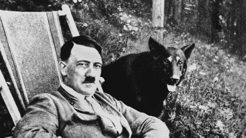Diktator Adolf Hitler mit seinem Hund.