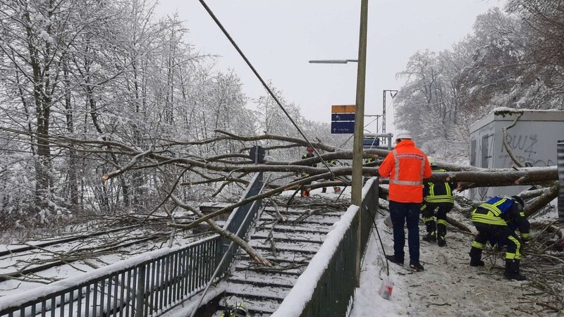 Im Landkreis Erding ist ein Baum auf einen Bahnsteig gekippt und hat eine Stromleitung heruntergerissen.