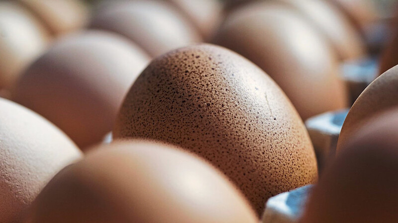 Hat Amtstierarzt den Ex-Bayern-Ei-Chef vor behördlichen Kontrollen gewarnt? An den salmonellenverseuchten Eiern wurden wohl Menschen aus ganz Europa krank.