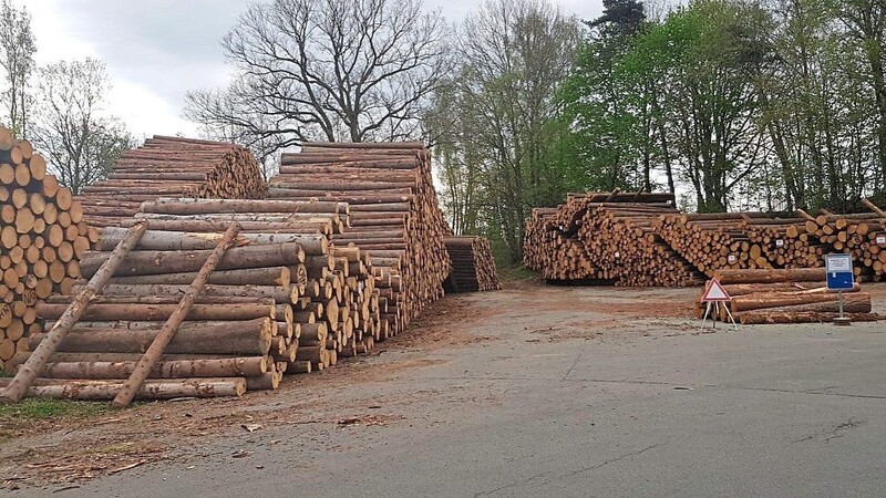 So lange das Holz lagert, ist keine Auszahlung an die Waldbesitzer möglich.