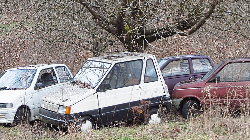 Diese schrottreifen Elektroautos stehen in einem Landschaftsschutzgebiet bei Hofdorf. Der Bürgermeister mahnt eine baldige Entsorgung an.