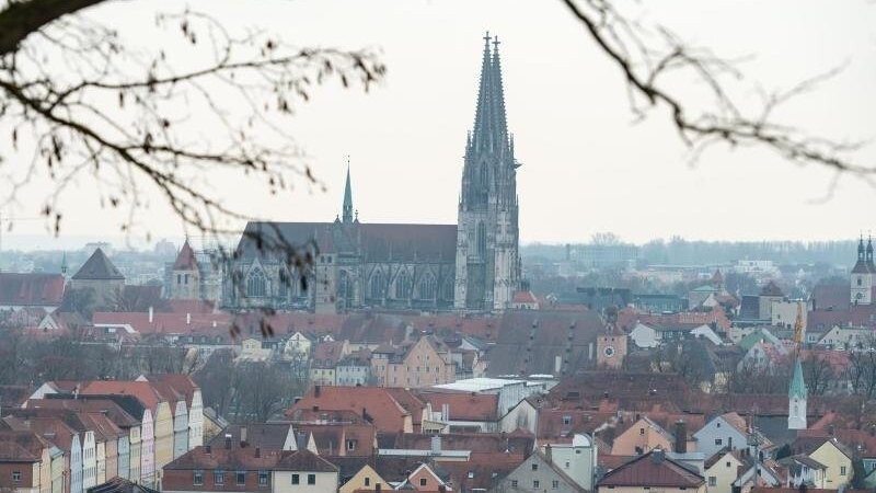 Blick auf Regensburg mit dem Dom St. Peter.