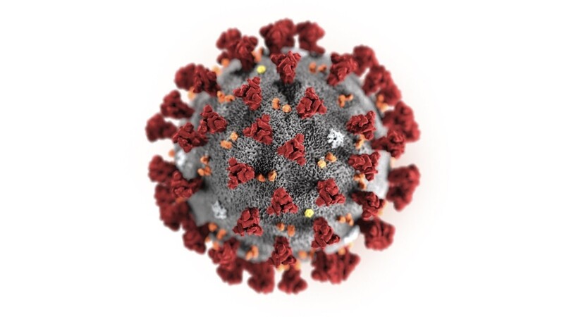 So ungefähr darf man sich den neuartigen Coronavirus aus China vorstellen.