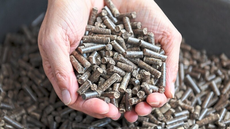 Paludikulturen wie Rohrkolben, Schilfrohr, Rohrglanzgras und Seggen können für die Gewinnung von Brennstoffen interessant sein. Das TFZ hat das Verbrennungsverhalten dieser Brennstoffe in kleinen Biomassekesseln untersucht.