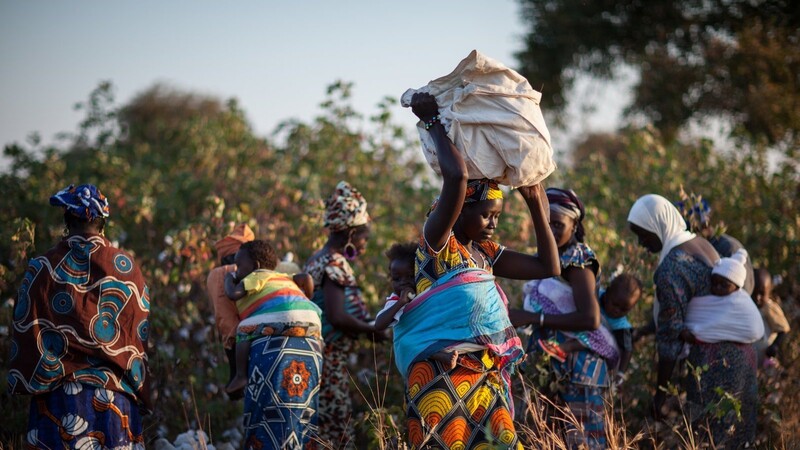Die Faire Woche beschäftigt sich heuer mit menschenwürdigen Arbeitsbedingungen und nachhaltigem Wirtschaften in der Textil-Lieferkette. Das Foto zeigt Arbeiterinnen auf einem Baumwoll-Feld in Afrika.