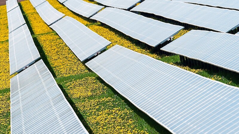 Das Thema Photovoltaik-Freiflächenanlagen auf landwirtschaftlichen Flächen sorgt immer wieder für Diskussionen in den Gremien der Städte und Gemeinden.