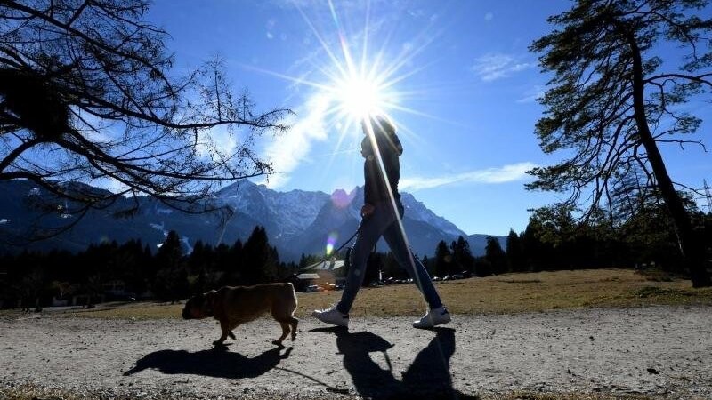 Eine Frau bei strahlendem Sonnenschein unterwegs ist mit ihrem Hund am Kramerplateauweg in Bayern.