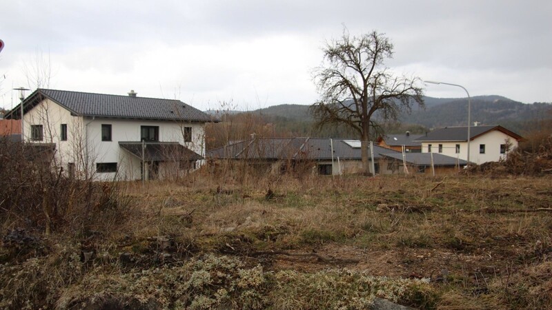 Ein Teil des Grundstücks, auf dem die Wohneinheiten enstehen sollen. Es liegt gegenüber dem neuen Baugebiet Schädlberg-Ost im Viechtacher Ortsteil Schlatzendorf.